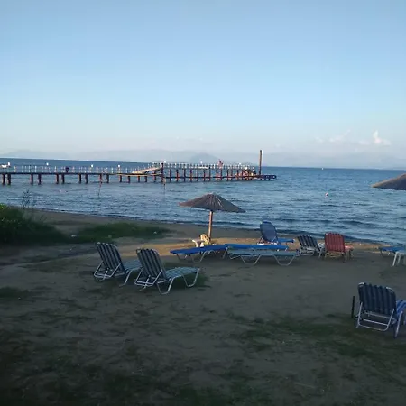 Akti Panela 3*