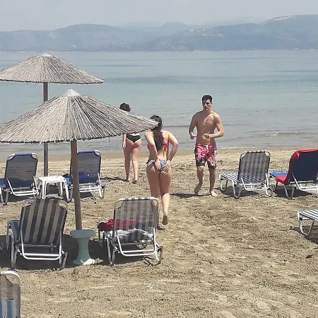 Akti Panela Kávos